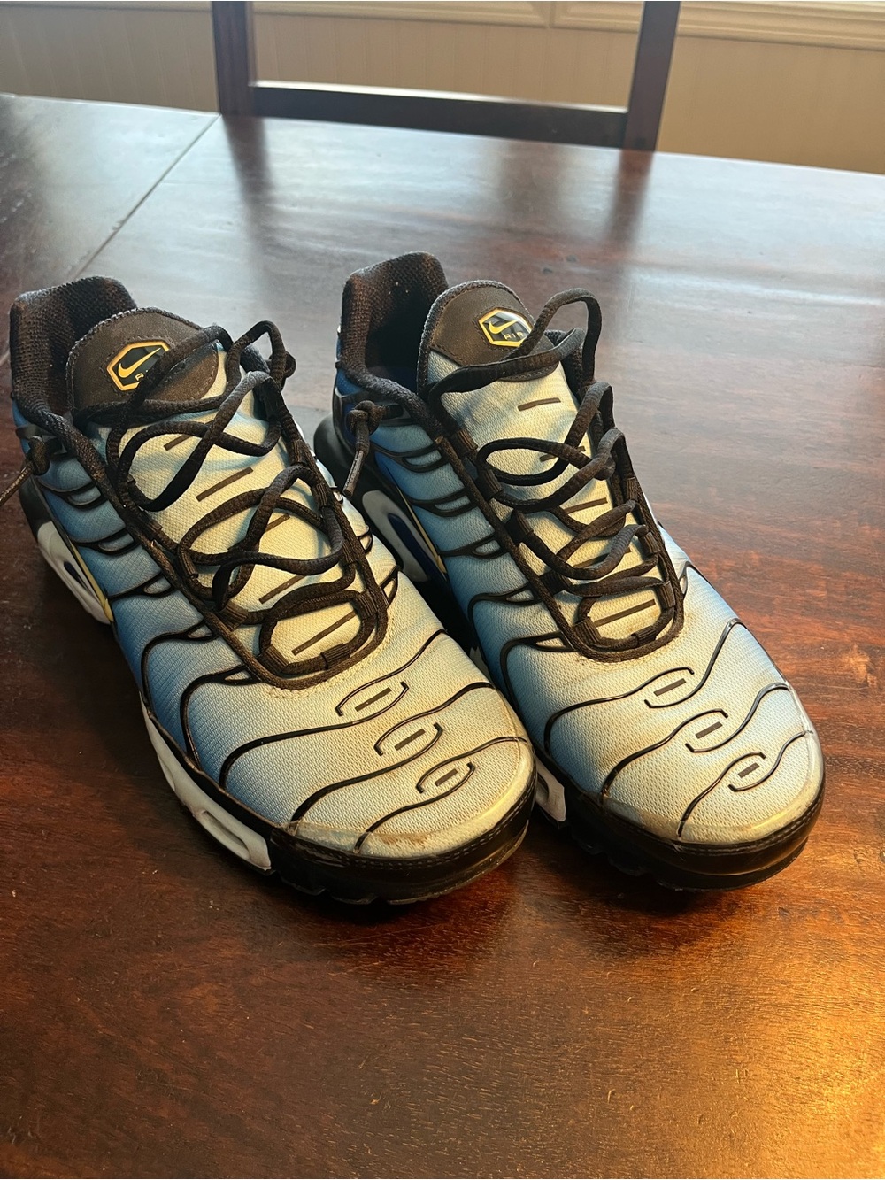 Nike Gradient Light Blue and Black Air Max Plus Sneakers